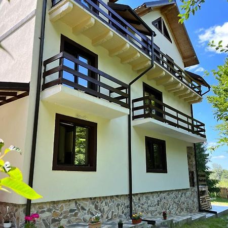 Cabana Din Padure Hotell Porumbacu de Sus Exteriör bild