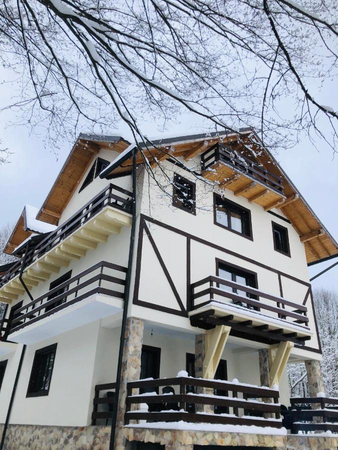 Cabana Din Padure Hotell Porumbacu de Sus Exteriör bild