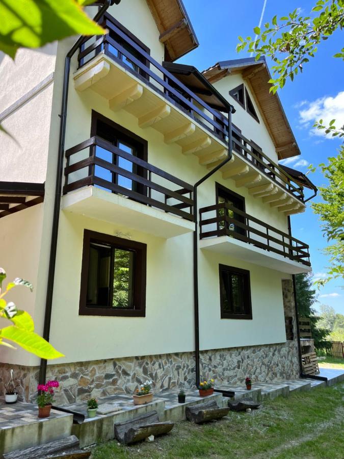 Cabana Din Padure Hotell Porumbacu de Sus Exteriör bild
