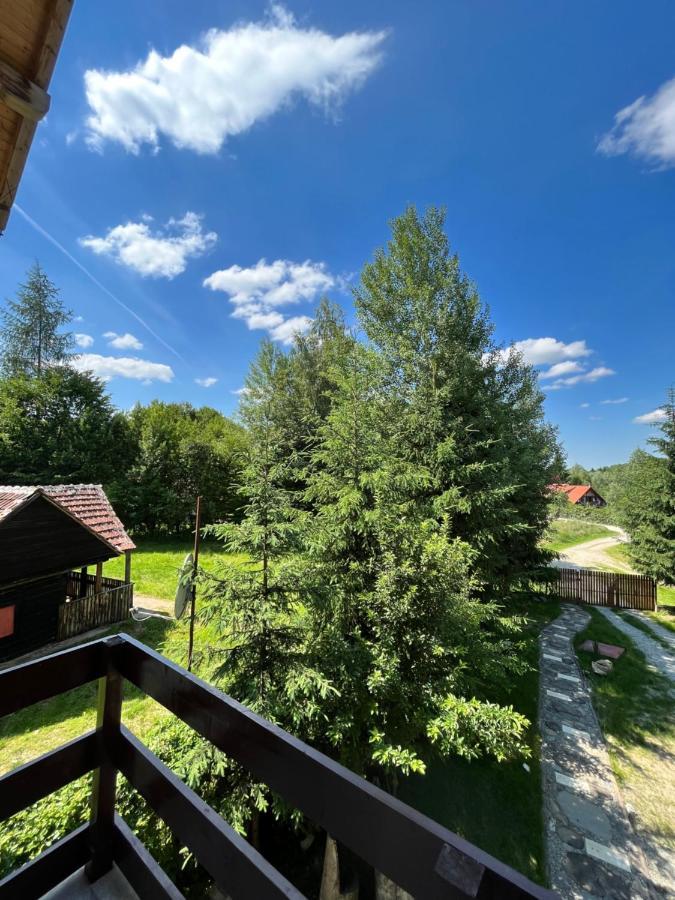 Cabana Din Padure Hotell Porumbacu de Sus Exteriör bild