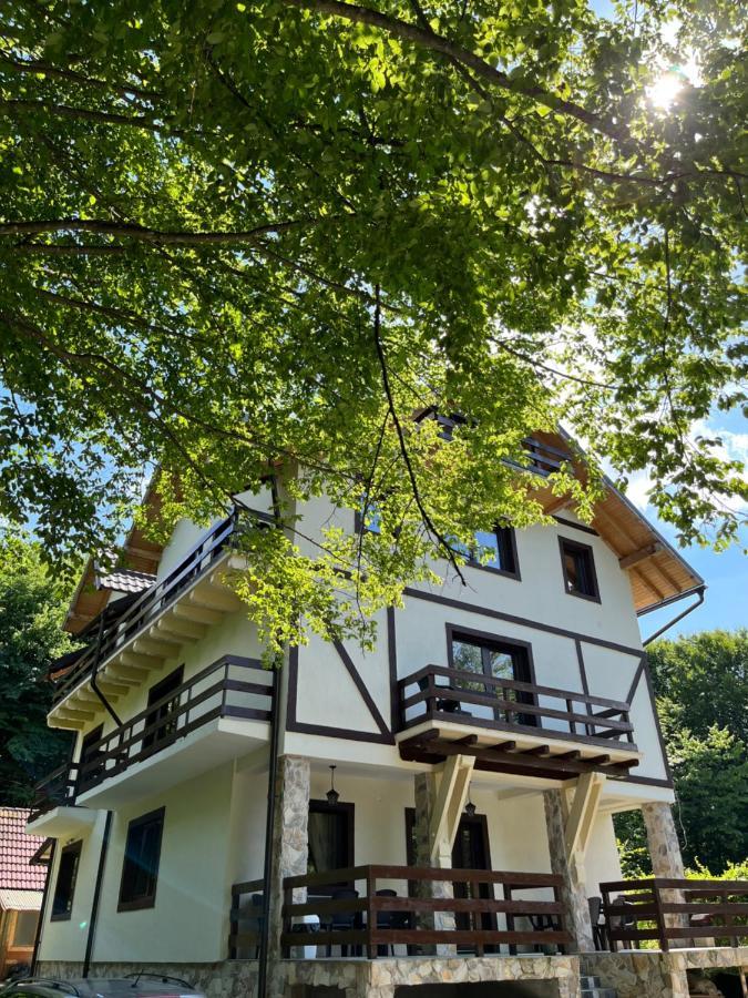 Cabana Din Padure Hotell Porumbacu de Sus Exteriör bild