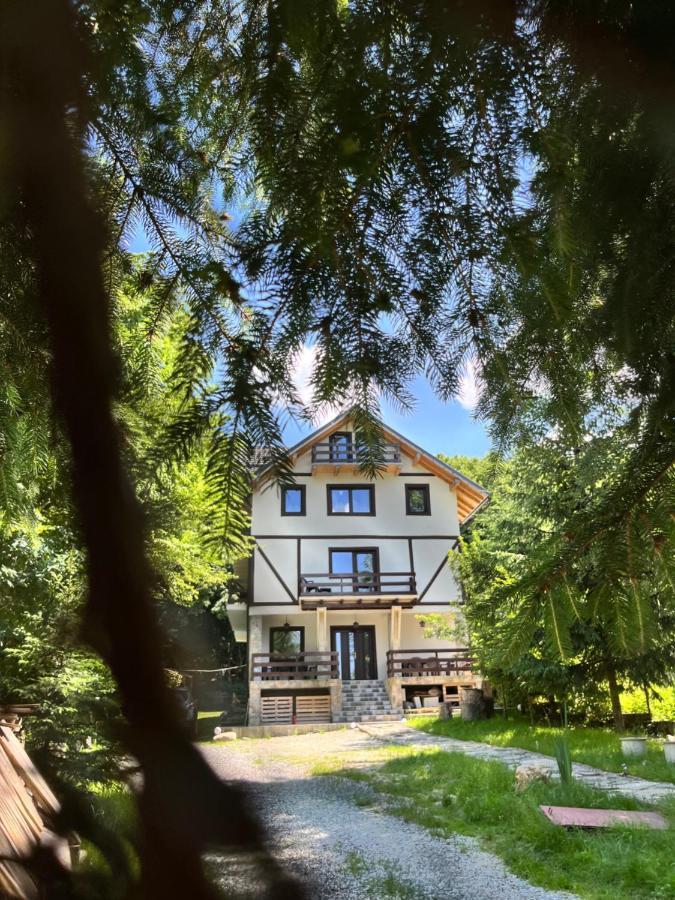 Cabana Din Padure Hotell Porumbacu de Sus Exteriör bild