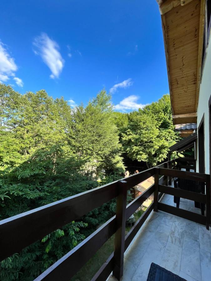 Cabana Din Padure Hotell Porumbacu de Sus Exteriör bild