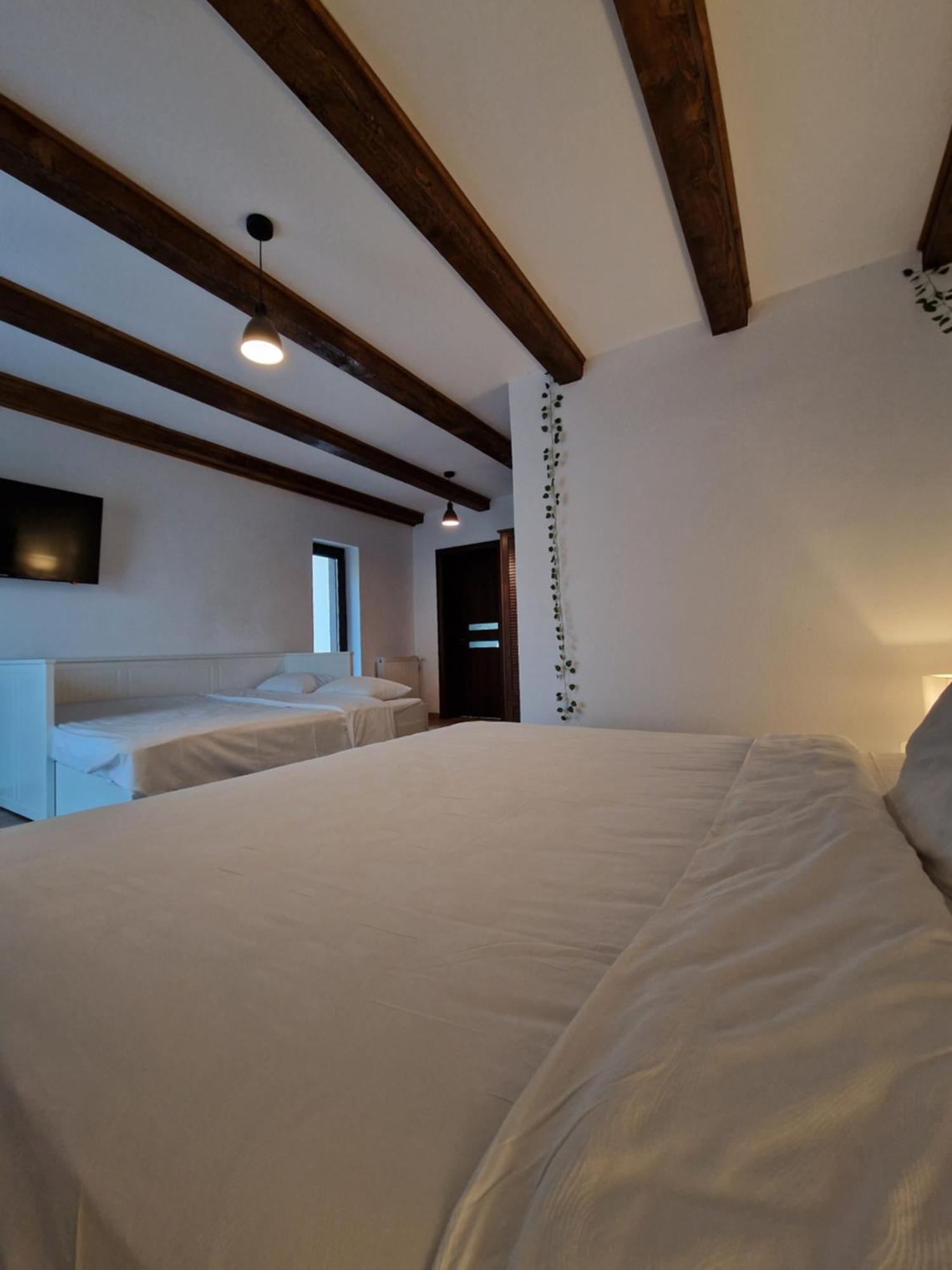 Cabana Din Padure Hotell Porumbacu de Sus Exteriör bild
